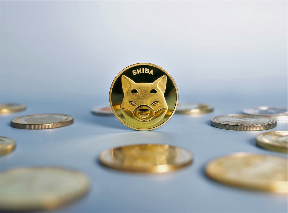 shiba inu coin coinbase delay